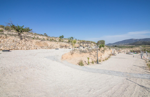Venta - Parcela - Pinoso - CULEBRON