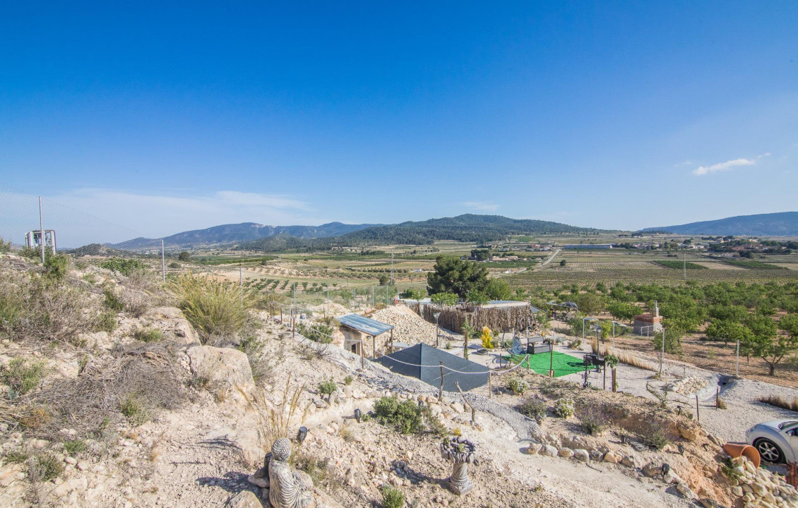 Venta - Parcela - Pinoso - CULEBRON