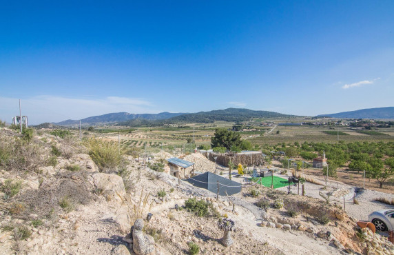 Venta - Parcela - Pinoso - CULEBRON