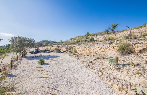 Venta - Parcela - Pinoso - CULEBRON