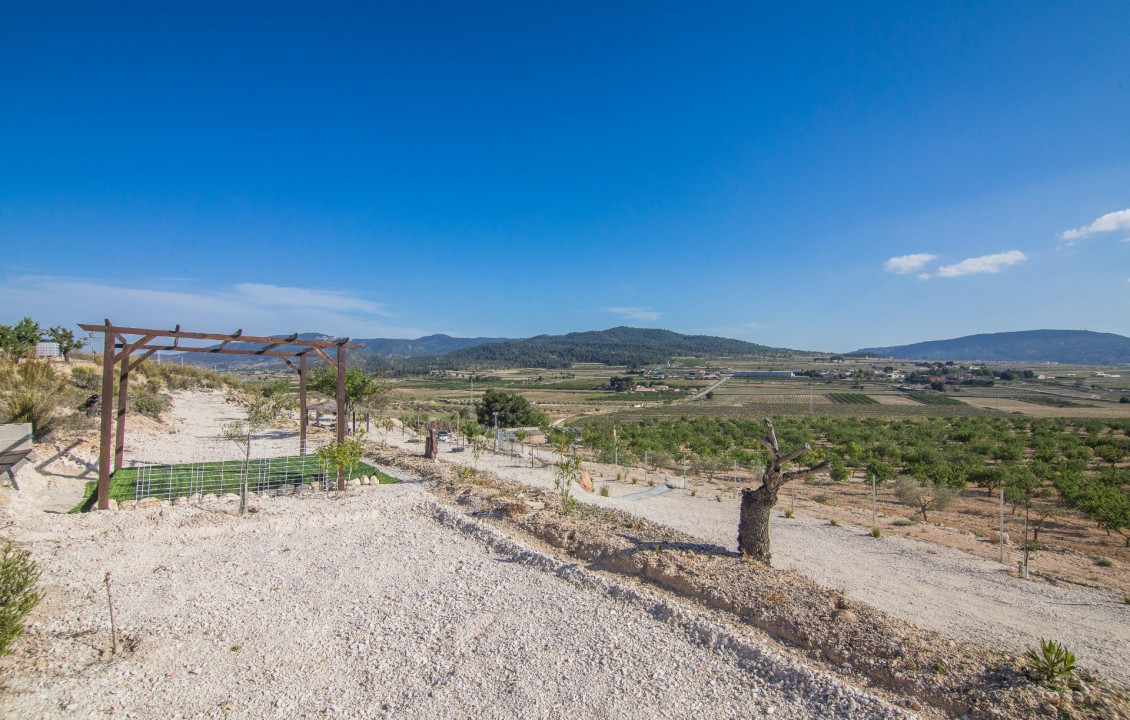 Venta - Parcela - Pinoso - CULEBRON