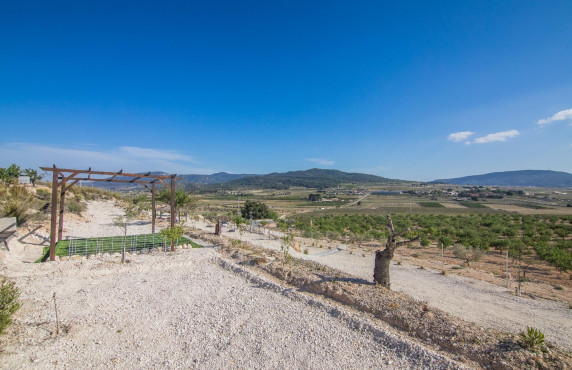 Venta - Parcela - Pinoso - CULEBRON