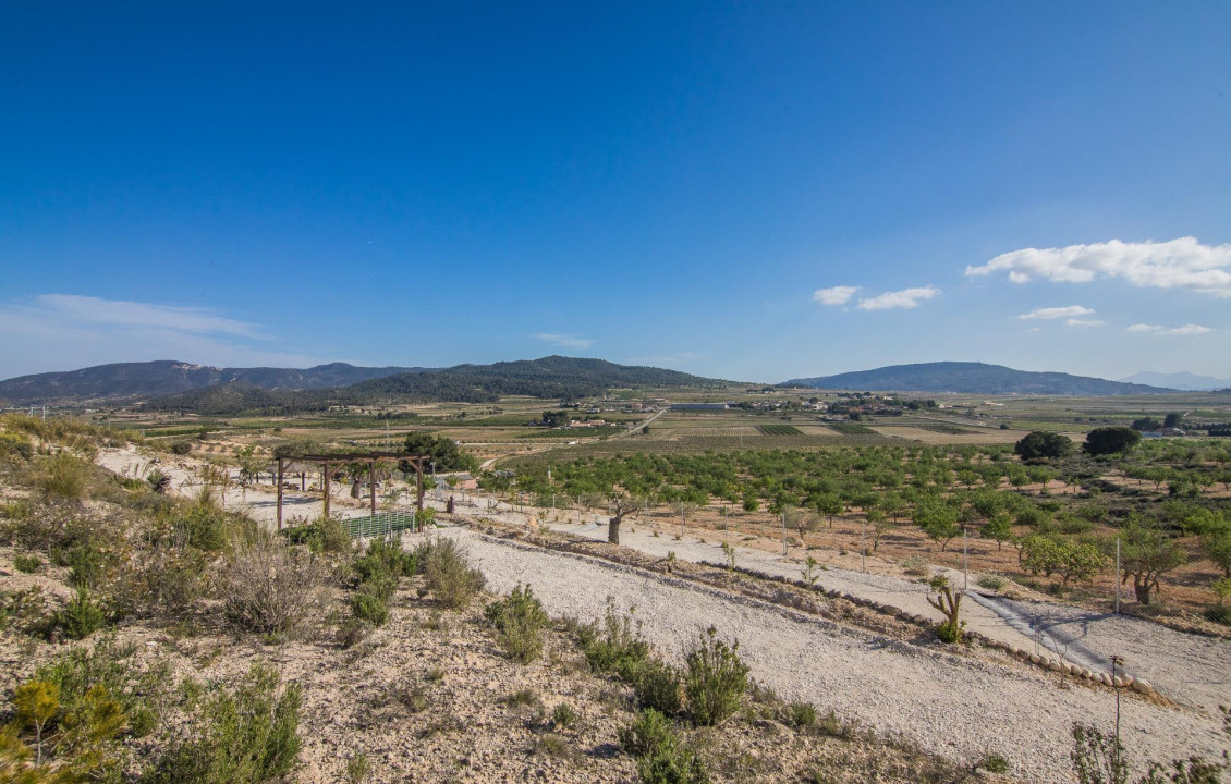 Venta - Parcela - Pinoso - CULEBRON