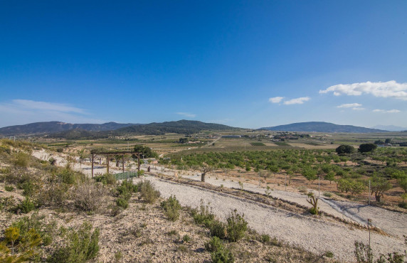 Venta - Parcela - Pinoso - CULEBRON