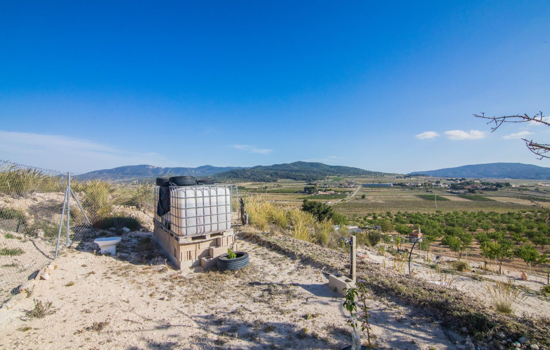 Venta - Parcela - Pinoso - CULEBRON