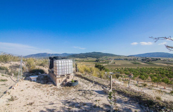 Venta - Parcela - Pinoso - CULEBRON