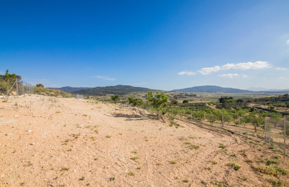 Venta - Parcela - Pinoso - CULEBRON