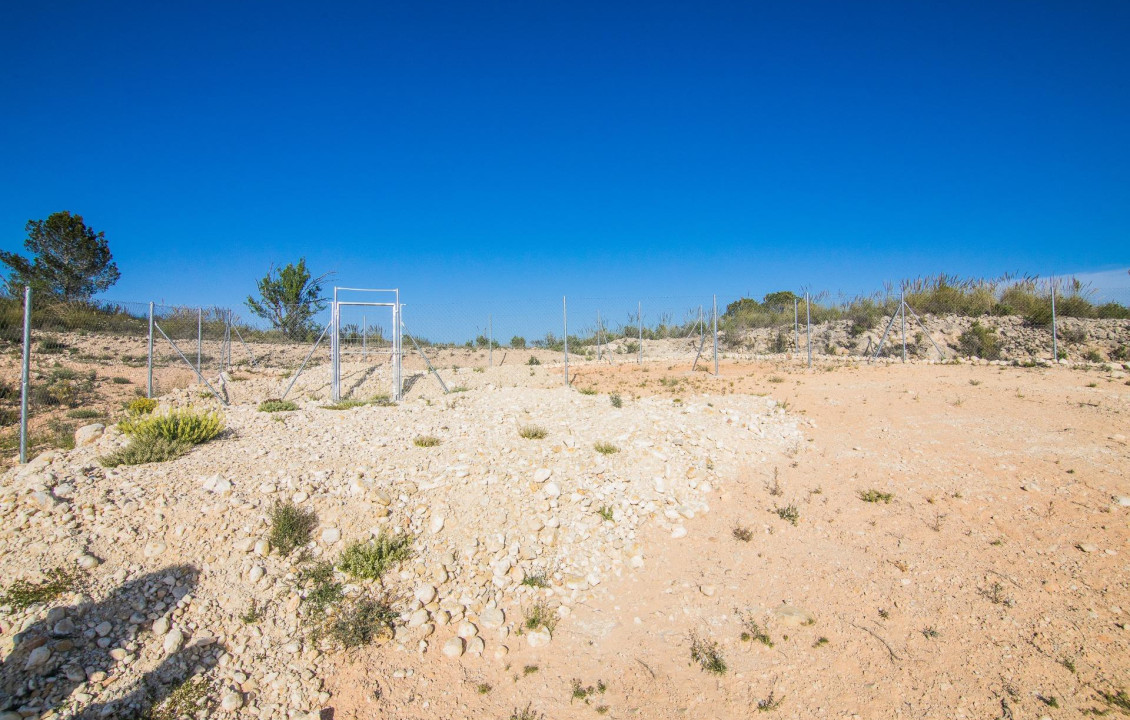 Venta - Parcela - Pinoso - CULEBRON