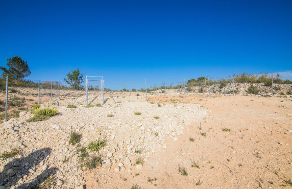 Venta - Parcela - Pinoso - CULEBRON