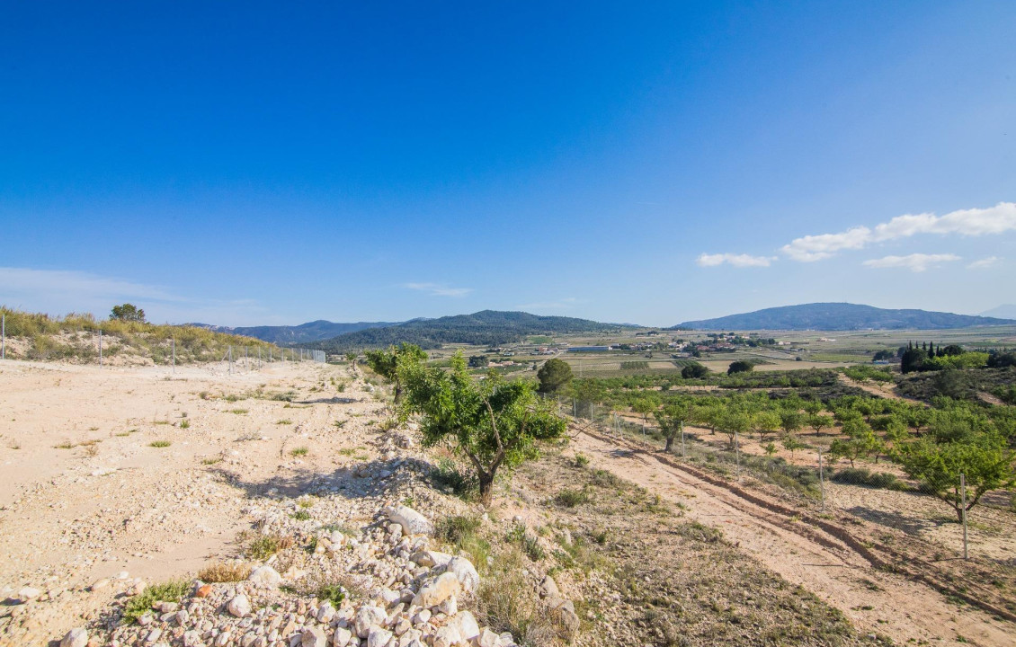 Venta - Parcela - Pinoso - CULEBRON