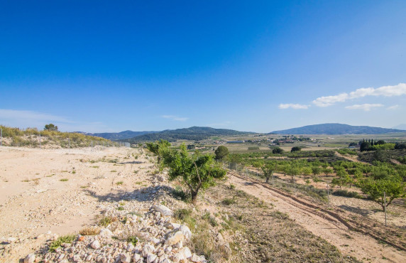 Venta - Parcela - Pinoso - CULEBRON