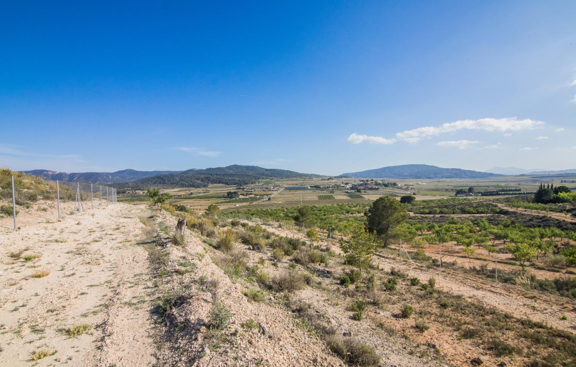 Venta - Parcela - Pinoso - CULEBRON