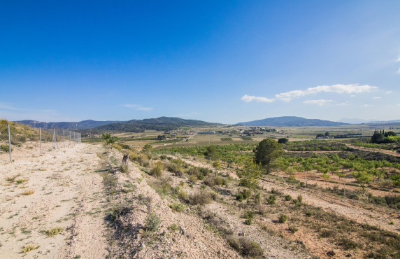 Venta - Parcela - Pinoso - CULEBRON