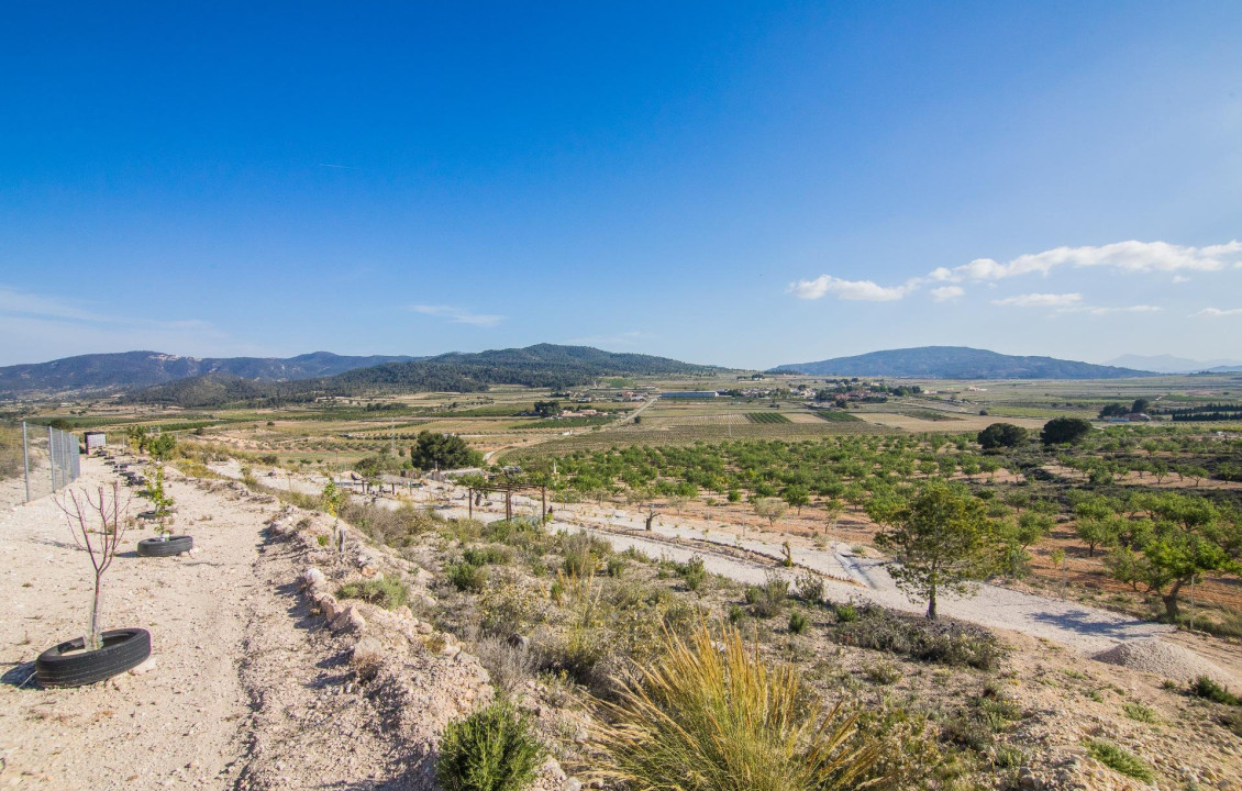 Venta - Parcela - Pinoso - CULEBRON