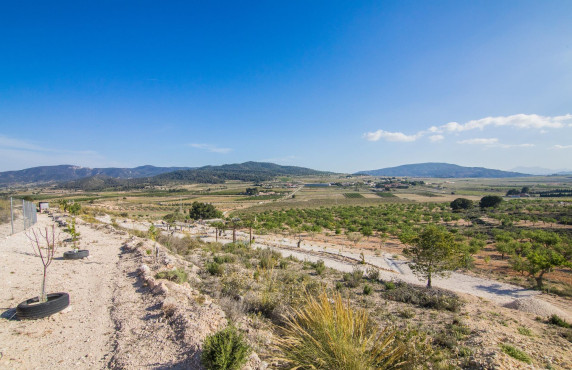 Venta - Parcela - Pinoso - CULEBRON