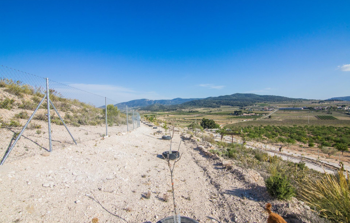 Venta - Parcela - Pinoso - CULEBRON