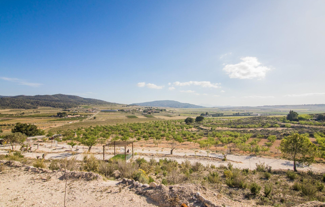 Venta - Parcela - Pinoso - CULEBRON
