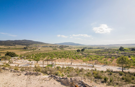 Venta - Parcela - Pinoso - CULEBRON