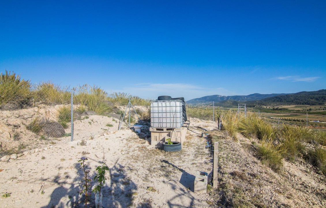Venta - Parcela - Pinoso - CULEBRON