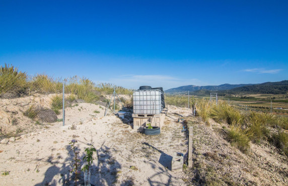 Venta - Parcela - Pinoso - CULEBRON