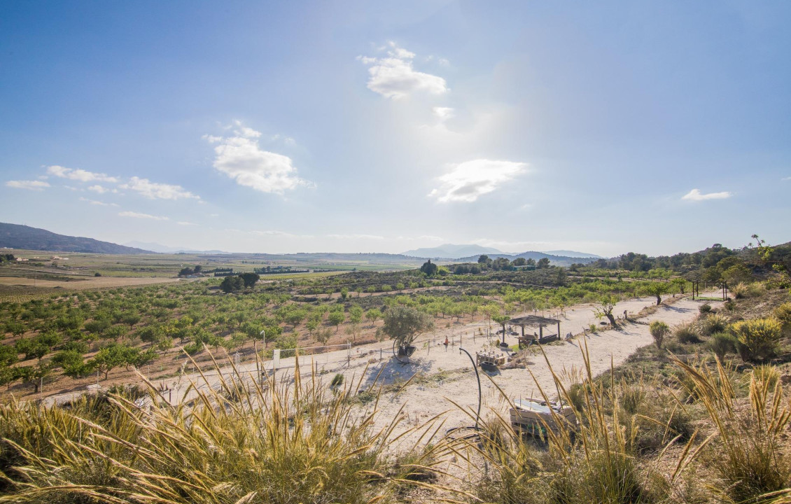 Venta - Parcela - Pinoso - CULEBRON