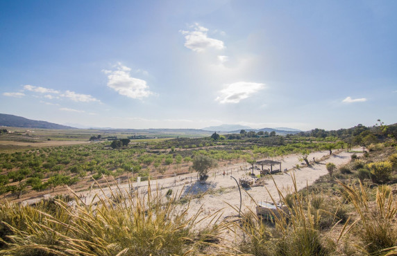 Venta - Parcela - Pinoso - CULEBRON