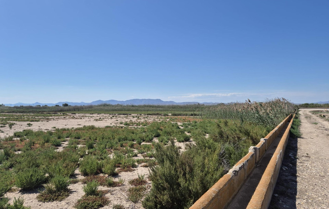 Venta - Country land - La hoya - La Hoya-Daimes-El Derramador