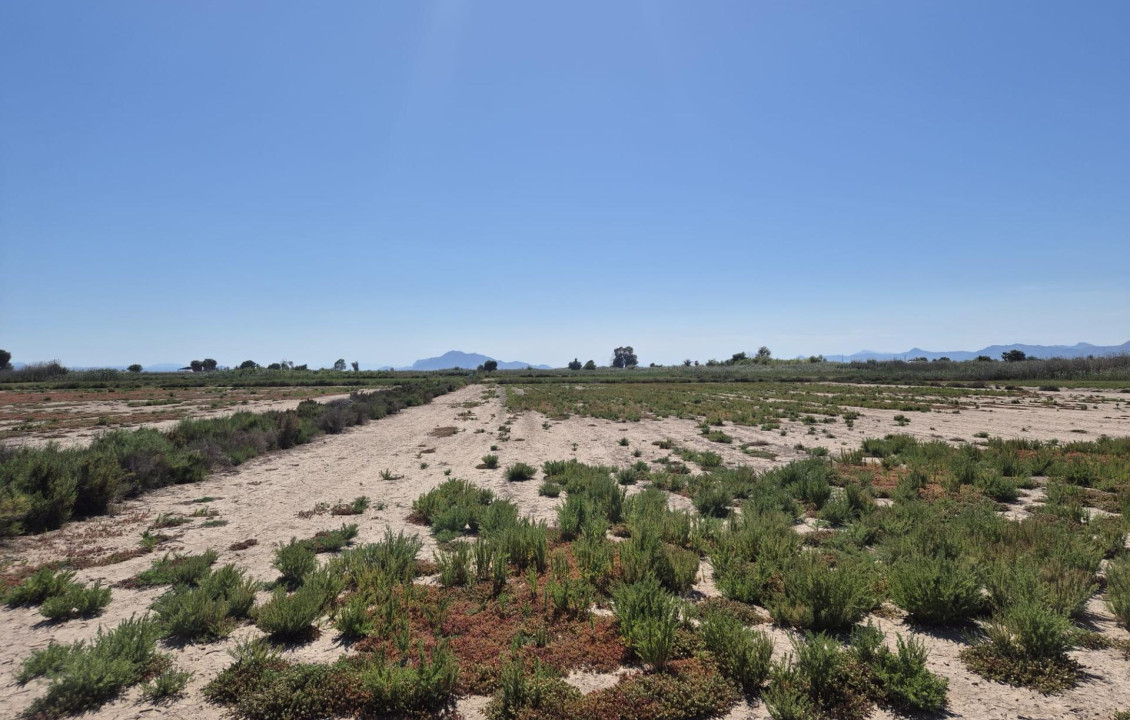 Venta - Country land - La hoya - La Hoya-Daimes-El Derramador