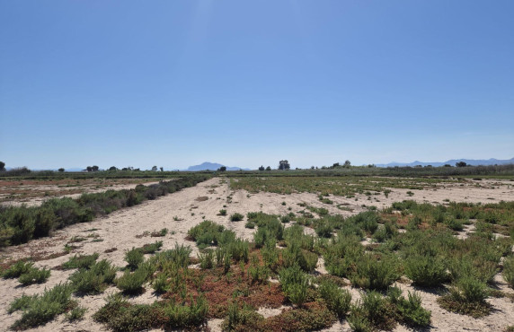 Venta - Country land - La hoya - La Hoya-Daimes-El Derramador