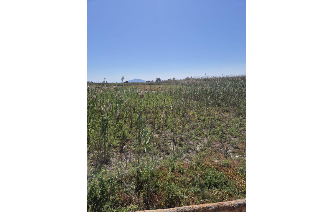 Venta - Country land - La hoya - La Hoya-Daimes-El Derramador