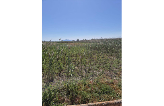 Venta - Country land - La hoya - La Hoya-Daimes-El Derramador