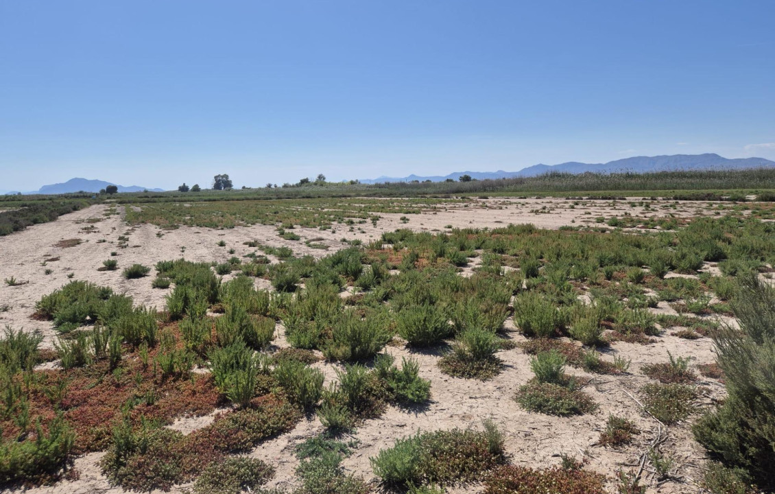 Venta - Country land - La hoya - La Hoya-Daimes-El Derramador