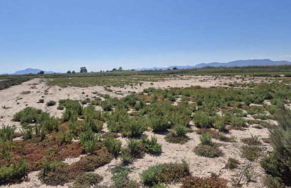 Venta - Country land - La hoya - La Hoya-Daimes-El Derramador