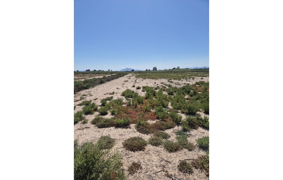 Venta - Country land - La hoya - La Hoya-Daimes-El Derramador
