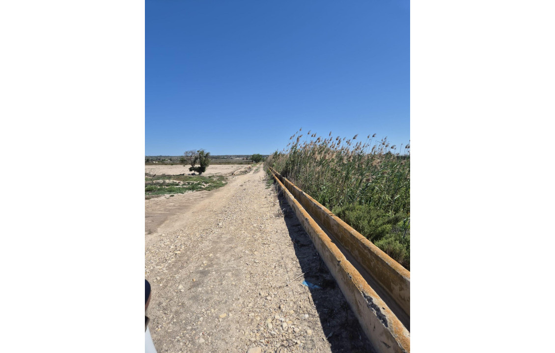 Venta - Country land - La hoya - La Hoya-Daimes-El Derramador