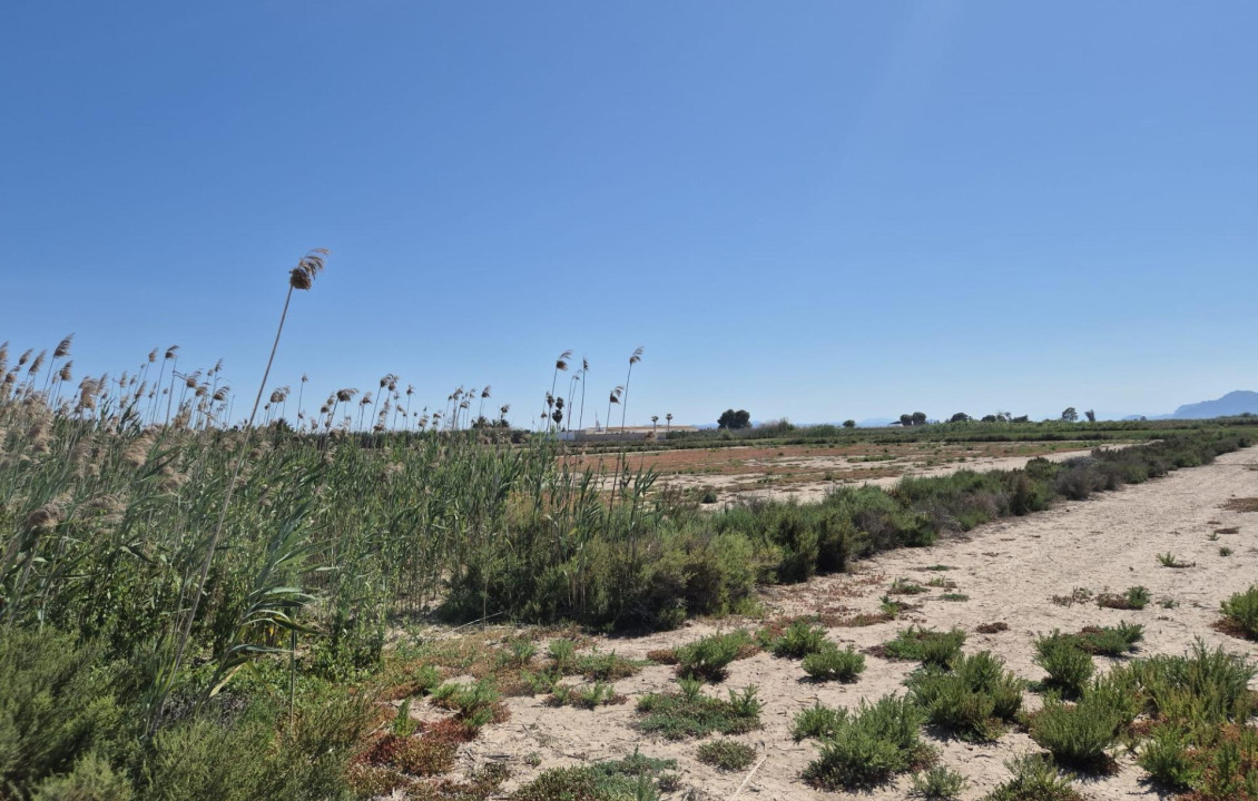 Venta - Country land - La hoya - La Hoya-Daimes-El Derramador
