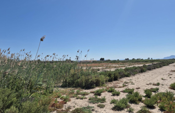 Venta - Country land - La hoya - La Hoya-Daimes-El Derramador