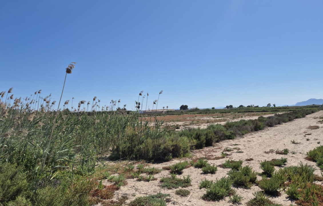 Venta - Country land - La hoya - La Hoya-Daimes-El Derramador