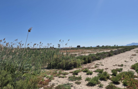 Venta - Country land - La hoya - La Hoya-Daimes-El Derramador