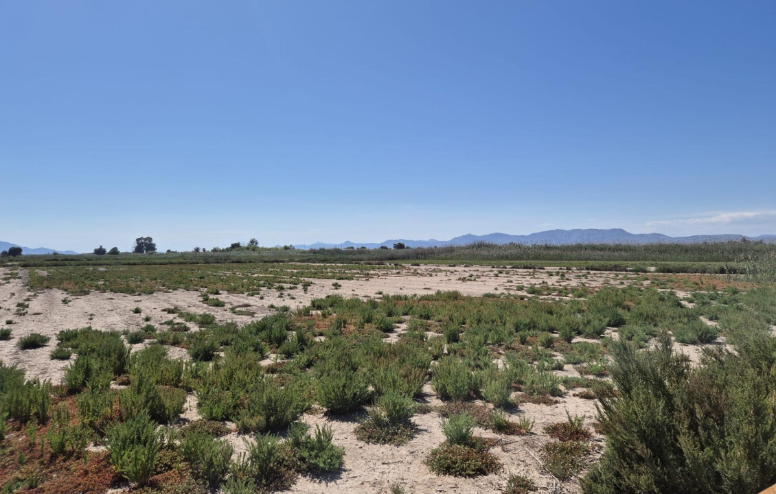 Venta - Country land - La hoya - La Hoya-Daimes-El Derramador