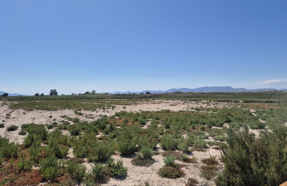 Venta - Country land - La hoya - La Hoya-Daimes-El Derramador