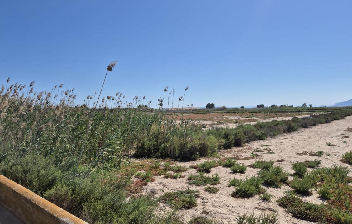 Venta - Country land - La hoya - La Hoya-Daimes-El Derramador