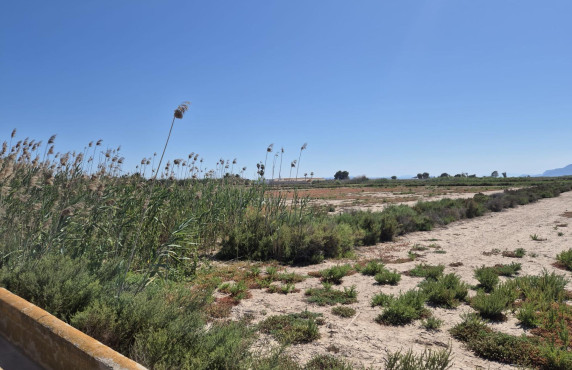 Venta - Country land - La hoya - La Hoya-Daimes-El Derramador