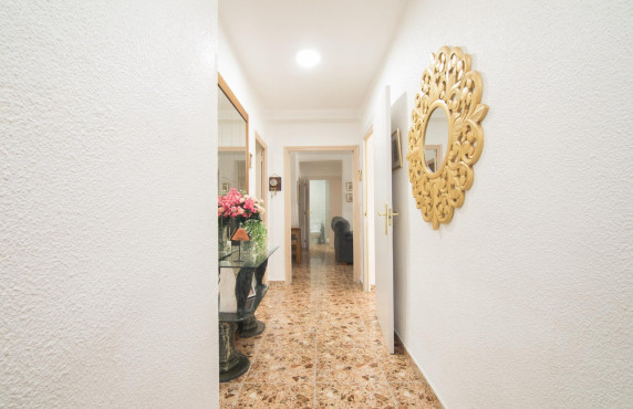 Venta - Piso - Elche - Carrus