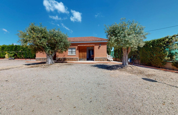 Venta - villa - Elche - Elche / Elx