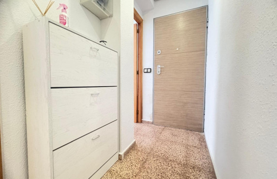 Venta - Piso - Alicante - Ciudad de asis