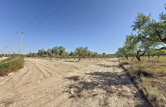 Venta - Country land - Biar - Comunidad valenciana