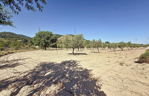 Venta - Country land - Biar - Comunidad valenciana