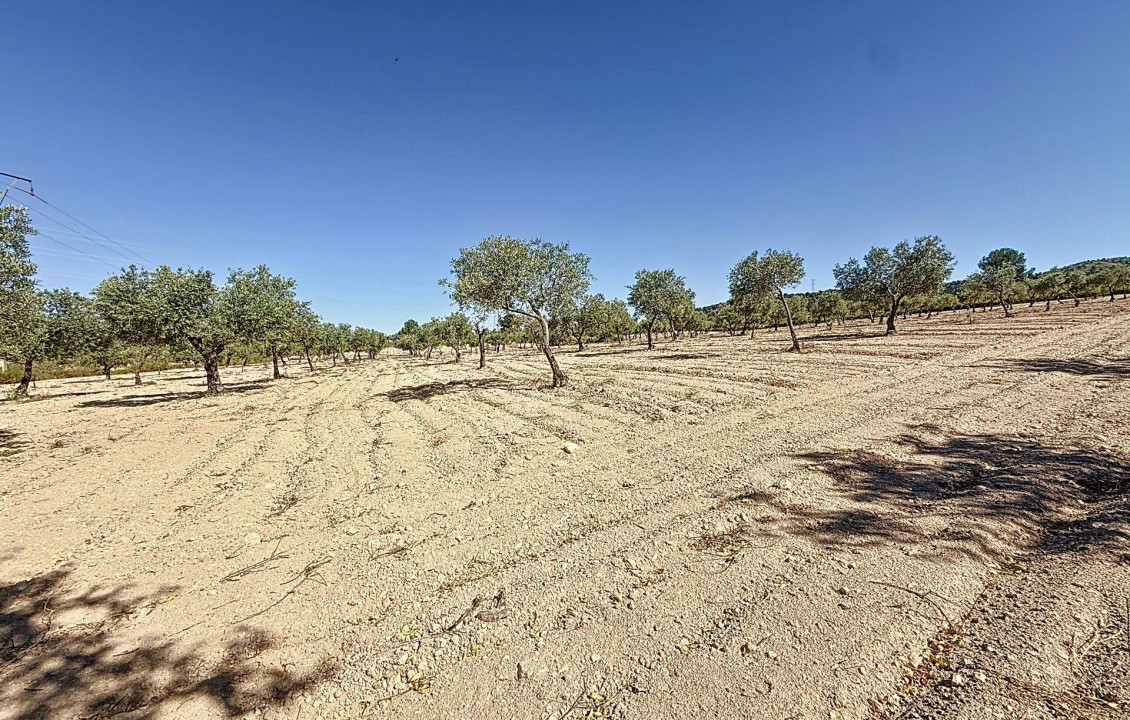 Venta - Country land - Biar - Comunidad valenciana