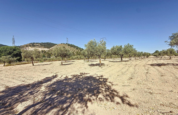 Venta - Country land - Biar - Comunidad valenciana